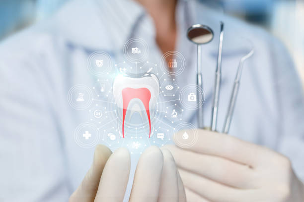 Best Dental Fillings (Composite and Amalgam)  in Holly Hill, FL